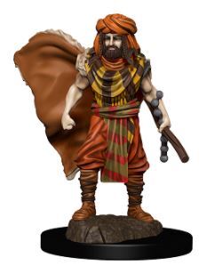 Pathfinder Battles Human Male Druid Premium Pre-Painted